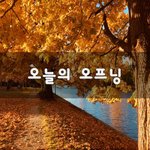 [이것좀봐줘] 오늘의 오프닝~
