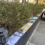 남돌 영통팬싸 찍으러 온 팬들 만행(사진O)