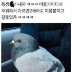 [19] 야야 조카 급해 미친 거 아니냐ㅠㅠㅠㅠ