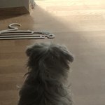 [드루와] 울<b>집</b> 갱<b>얼</b>쥐 뒷통수 볼사람