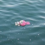 나 지금 조카 <b>질질</b> 짜는중
