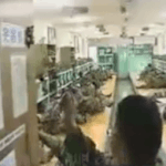 [19] 야 에프엑스 에이핑크 <b>난리남</b>;; 이거 봐봐