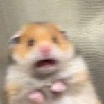 할머니 첫사랑 재질 짤 풀어주라ㅠㅠ