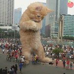 [댓글부탁해] 짝남이 <b>왕복</b> 1시간 거리 와준대