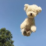 [조언부탁해] 얘들아 내 찌찌 내성 찌찌야