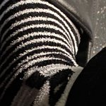 [BL] 잠복수사는 안해 잠복 함정수사는 마약말곤 <b>위법</b>이거든