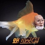 [댓글부탁해] 며칠전에 마트에서 개노답<b>멸치</b>색희 봄;;