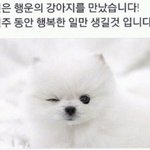 [댓글부탁해] 인간관계 지칠 때 팁 풀어<b>주랑</b>╰(*´︶`*)╯