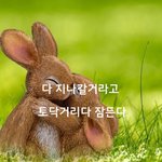 [감성글] 다 지나갈거라고 토닥이다 잠든다