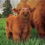 [NCT즌] 이동역 닮음