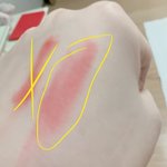 [드루와] <b>톤</b>잘<b>알</b>들아!!!!! 나 무슨 <b>톤</b>일까