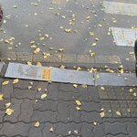 <b>에코백</b>으로 차가 긁히나요? (차주분들 봐주세요)