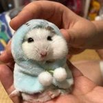 [이것좀봐줘] 친구냔이 자꾸 <b>날</b> <b>무시</b>한다