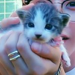 [NCT즌] 아...귀엽...귀엽....