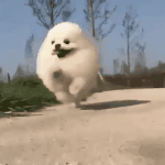 [TXT모아] 뫄들아!!