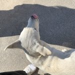 렌즈 뭘까... 너무 궁금해 (<b>미방</b> 있음)