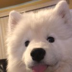 [댓글부탁해] 얘더얘<b>도라</b> 목도리 뭐살까