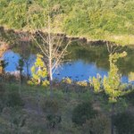 [골든차일드] 나 오늘 계(?)탄거 자랑해도 돼?