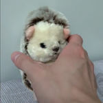 [NCT즌] 나 이 사람 손이 너무 조음