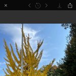 사진 보정할 때 쓰는 내 최애 필터 소개할게