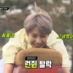 뜀틀에서 자는 <b>런쥔</b>