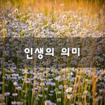 [불교<b>환생</b>] 인생의 의미~