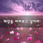 [이것좀봐줘] <b>태양</b>을 바라보고 살아라~