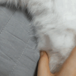[19] <b>예들</b>아ㅠ나ㅠ배아파죽을거같어