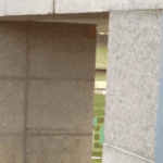 <b>수호</b>랑 이건 ㄴㄱ야