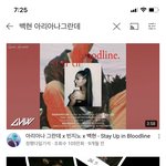<b>아리아나</b>그란데x백현 매쉬업 시킨거