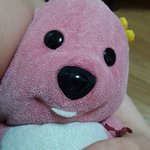 [댓글부탁해] 우리 애기 개귀<b>엽지</b>