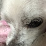 나 <b>이</b>글 <b>쓰</b>닌데