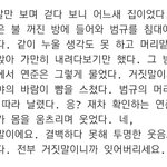 내가 미친여름을 보고 운 장면들