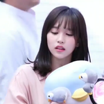 [댓글부탁해] <b>눈썹</b> 숱 빨리 자라겠지?ㅋㅋㅋㅋㅋㅋㅋ