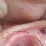 [이것좀봐줘] 이거 피어싱 빼야하나 ㅠㅠ?