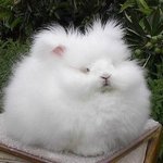 어떤 <b>팬</b>이 <b>팬</b>싸가서 <b>수호</b>한테 롤모델이라했는데
