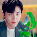 금전수로 설명되는 섭남 한지평 서사