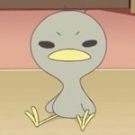 [드루와] 혐주의) 나 코 어떡해? 모공도 다보이고 털도남