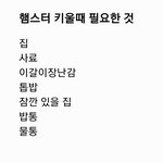 [댓글부탁해] <b>햄스터</b> 키우는 판녀들 다 드루왕