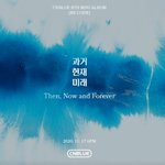 씨엔블루 이번 노래 역대급일 듯