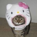 <b>강서</b>양천 사는사람ㅠㅠㅠㅠ