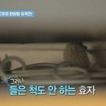 내가 <b>재촉</b>하는건 아니고 생존신고 정도는 해주면 안ㄷ