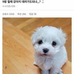 [드루와] <b>아이돌이</b> 과거에 동성연애