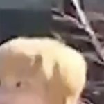 [NCT] 이동혁 놀라는 거 볼 사람