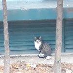 [댓글부탁해] 이거 불편해도 정상이야?