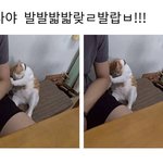[드루와] 너네 둘 중에 무슨 노래 떠오름???