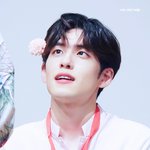최애 짤 자랑하고 가자!!!