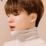 [NCT] 제노 <b>이사진</b>나왔을때 반응 어땠음 ㅠㅠ?