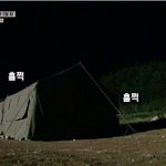 [드루와] 엄마 보고싶어서 울음터트린 우기강아지