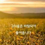 [감성글] 그리움은 바람되어 <b>불어</b>옵니다.